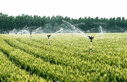 1.5 horsepower submersible well pump